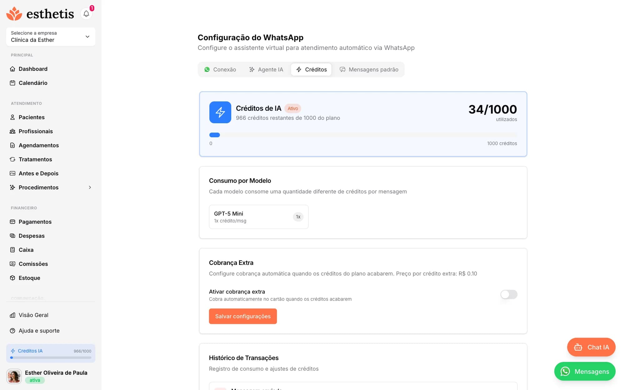 Tela do Esthetis: Como funcionam os créditos de mensagem